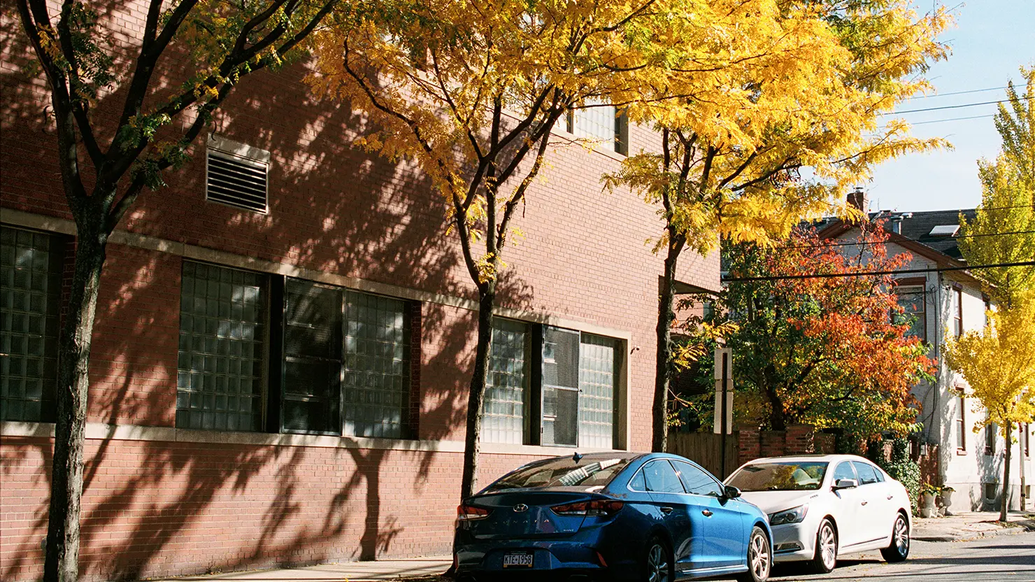 紅葉した街路樹とレンガの建物が並ぶ静かな住宅街の通り