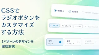 CSSでラジオボタンをカスタマイズする方法｜3パターンのデザインを徹底解説